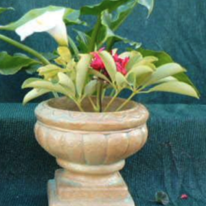 Coronado SM planter